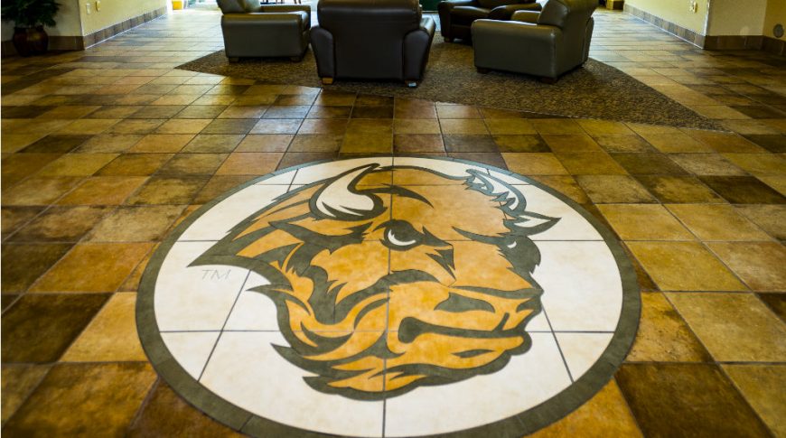 Green, gold and white bison round tile medallion with shades of brown tiles surrounding and sitting area on carpet cutout in the background.