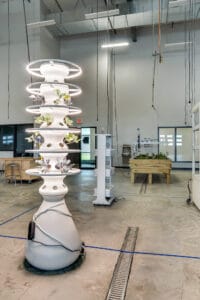 Hydroponic growing tube with agricultural raised plant beds in the back.