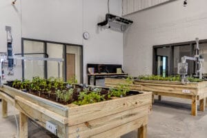 Agricultural room at the NDSCS Career Innovation Center with two raised plant beds with seedlings growing.