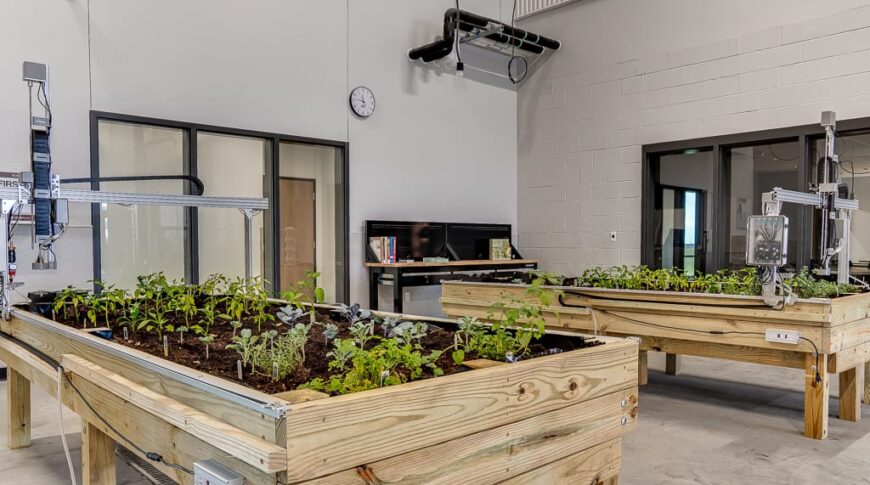 Agricultural room at the NDSCS Career Innovation Center with two raised plant beds with seedlings growing.